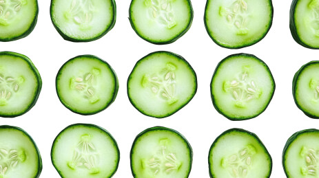 新鲜黄瓜切片图案