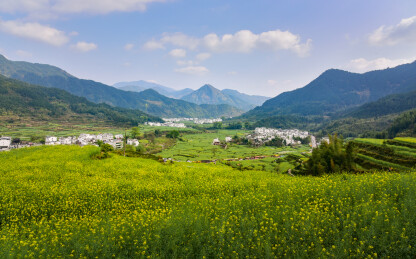 春天里的上饶市江湾景区