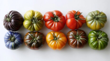 有机素菜西红柿