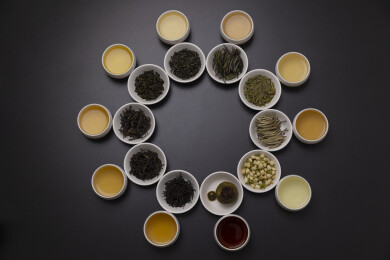 不同种类的茶