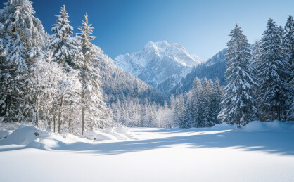 雪后山林美景