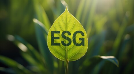 绿叶上的ESG文字，象征可持续发展