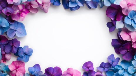 绣球花卉背景图