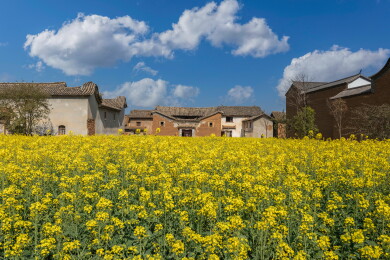 云南昆明呈贡乌龙乡古渔村田园风光