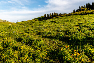 中国新疆赛里木湖景区
