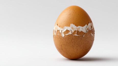 部分剥壳的棕色鸡蛋