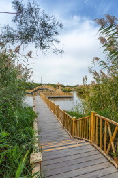 新疆巴音郭楞博斯腾湖蓝天白云与木栈道