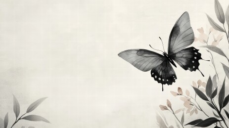 黑蝶翩翩飞舞的静美画面