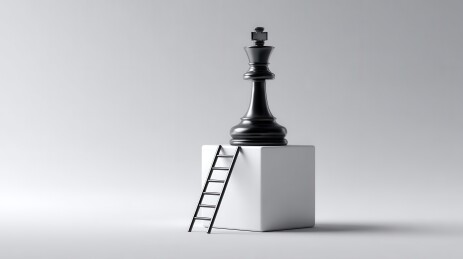 黑白棋王：战略领导与成长