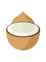 椰子剖开展示图