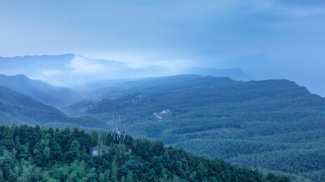 中国四川宜宾蜀南竹海晨雾缭绕自然景观