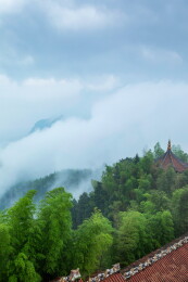 中国四川宜宾蜀南竹海晨雾缭绕自然景观