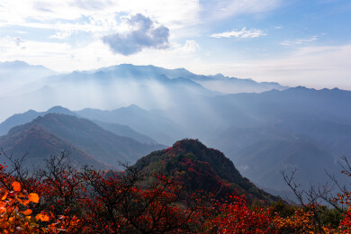 秦岭圭峰山红叶秋景高山云海层峦叠嶂景观