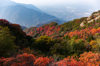 陕西西安秦岭山脉圭峰山红叶绿树秋景