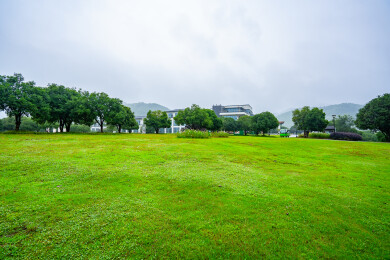山间度假村酒店绿色大草坪
