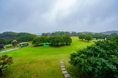 山间度假村酒店绿色大草坪