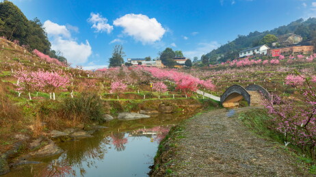 四川宜宾七星山小桥流水与盛开的桃花
