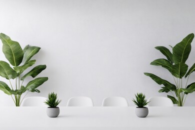 室内绿植与白色桌椅场景
