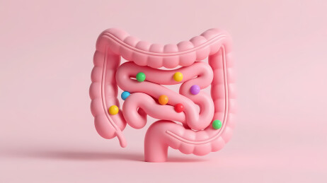 粉色肠状物彩色点