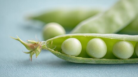 剥开的新鲜青豌豆特写