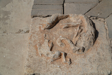 山西运城万荣稷王庙建筑局部角龙