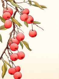枝头红果实荔枝插画