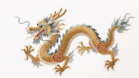 中国龙刺绣背景