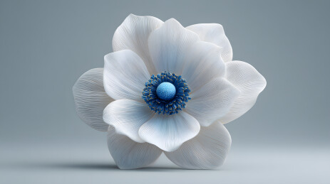白瓷蓝心花朵特写