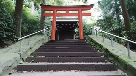 森林中通往阶梯的红色鸟居