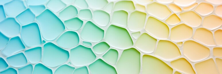 彩色纹案装饰性背景场景