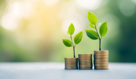 萌芽中的希望与财富