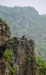 奇峰怪石