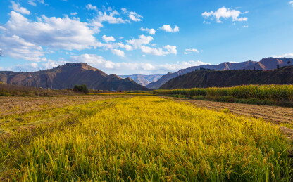 吉林长白县群山的风光