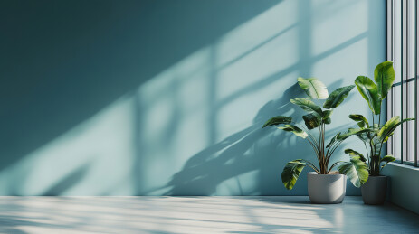 靠墙的桌子上的植物特写镜头