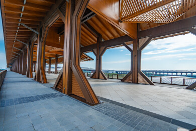 长三角一体化示范区水乡客厅方厅水院步行桥