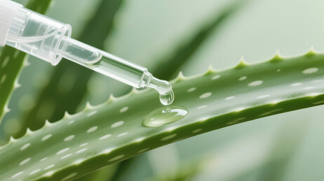 透明滴管绿色芦荟