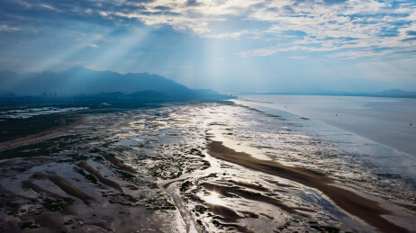 航拍福州闽江河口湿地公园生态保护滩涂