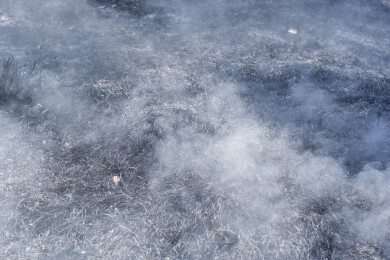 野火烧过干草后的灰烬