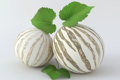 条纹瓜清新风果蔬展示场景