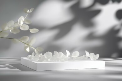 简约白光下的枝叶摆台