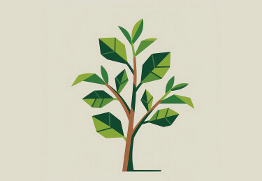 简笔画植物插画