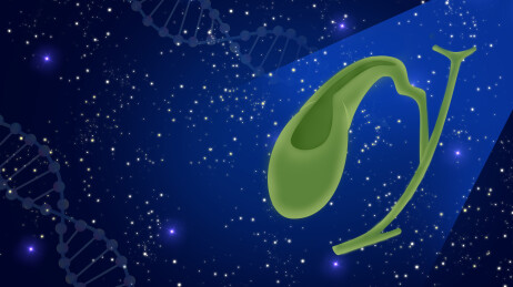 胆囊健康日医疗胆囊炎胆囊结石医学高峰论坛