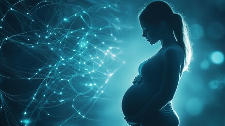 怀孕的女性和神经网络图