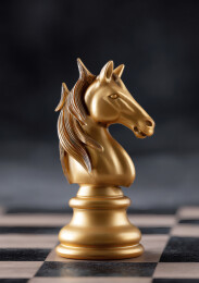 棋盘上一颗马棋子