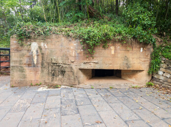 长满绿植的古老碉堡