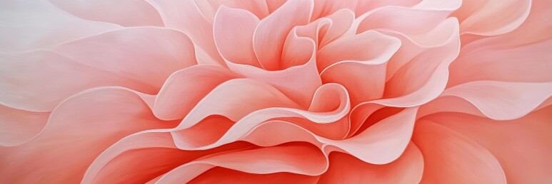 粉花特写美学场景