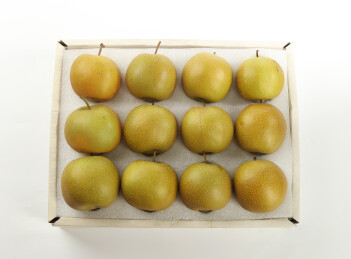 黄皮梨 脆蜜梨