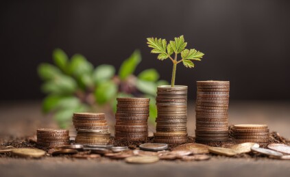 石缝萌芽绿意盎然图