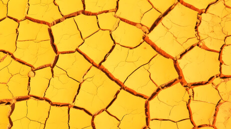 干旱裂开黄色地表