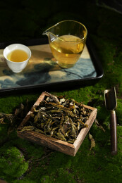 室内拍摄的普洱茶生茶